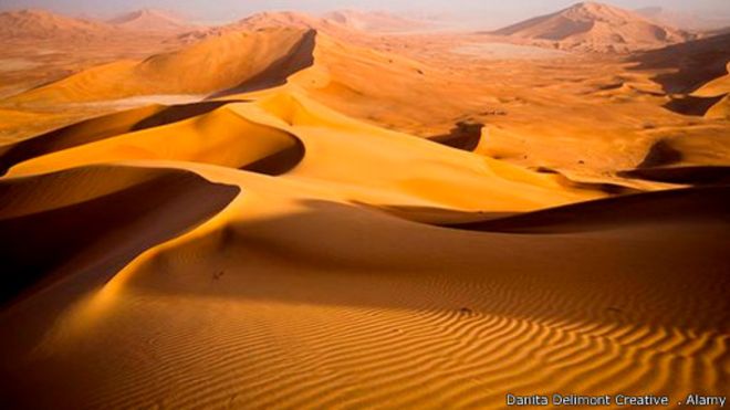 الجزيرة العربية كانت جنة خضراء من الغابات والحشائش