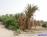 إقراض أكثر من 3600 مزارع في ذي قار ضمن المبادرة الزراعية إقراض أكثر من 3600 مزارع في ذي قار ضمن المبادرة الزراعية