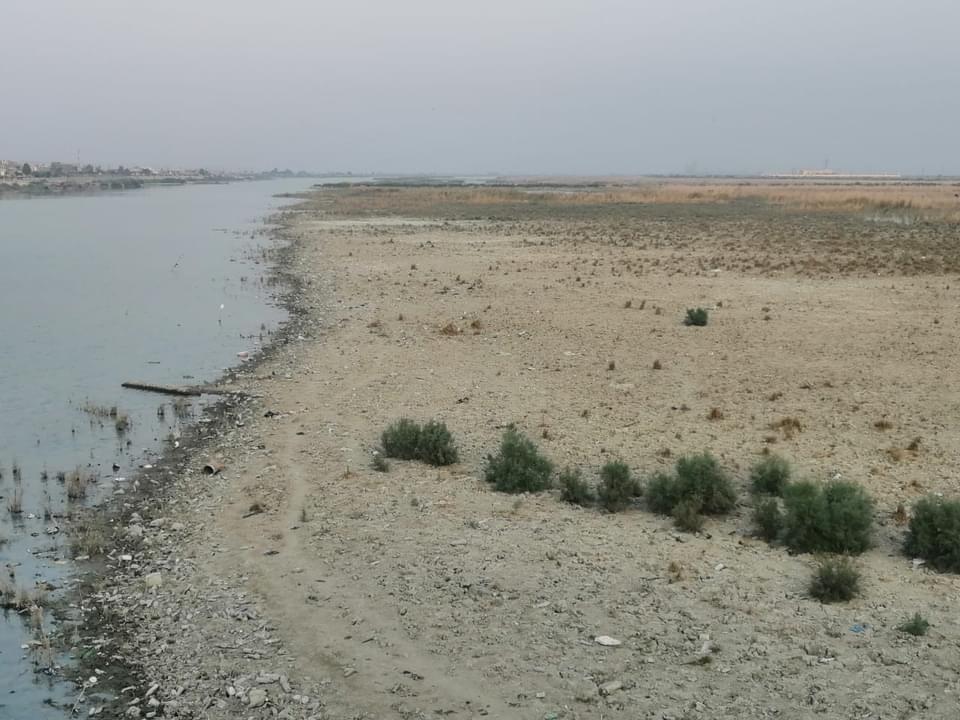 ذي قار: انخفاض منسوب مياه نهر الفرات المغذي لاهوار الجبايش الى 0،5 م