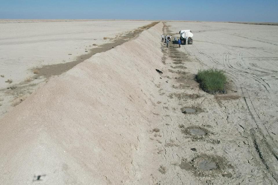 وزارة الزراعة تنفذ خطة واسعة لتثبيت الكثبان الرملية غرب الناصرية