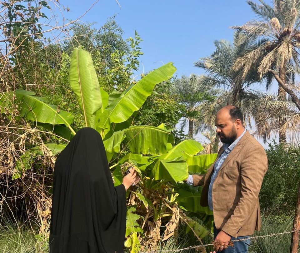 مزارع من ذي قار ينجح بزراعة الموز والسفرجل