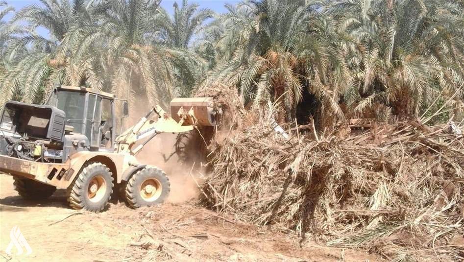 الزراعة تحدد عقوبات قلع الأشجار وتوضح بشأن تحويل جنس الأراضي