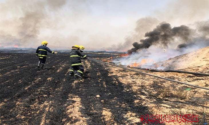 صورة من مقال: نيران تلتهم 45 دونما من الذهب الأصفر شرق الناصرية