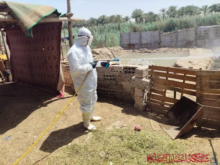 صورة من مقال: ارتفاع إصابات الحمى النزفية في ذي قار إلى 29 حالة