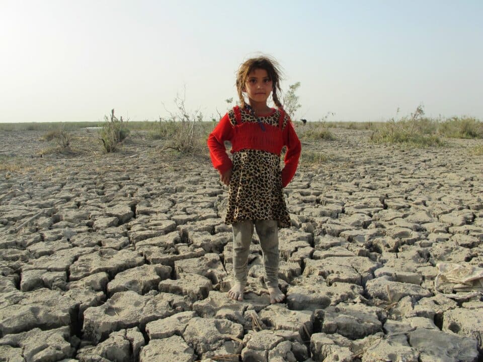 صورة من مقال: نائب من ذي قار: نزوح أكثر من 10 آلاف عائلة من الأهوار بسبب الجفاف