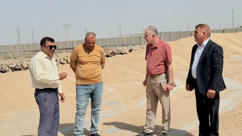 صورة من مقال: “الحنطة تملأ صوامع ذي قار”… تسويق نحو 150 ألف طن منذ بدء الموسم