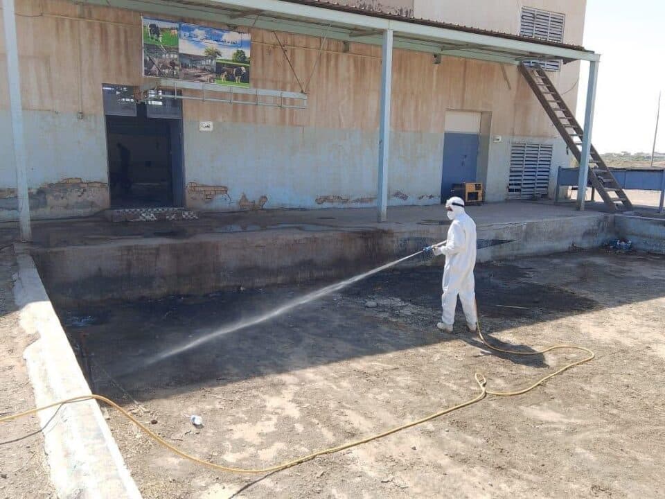 صورة من مقال: مستشفى ذي قار البيطري يطلق حملة رش استباقية لحضائر المواشي قبل عيد الأضحى