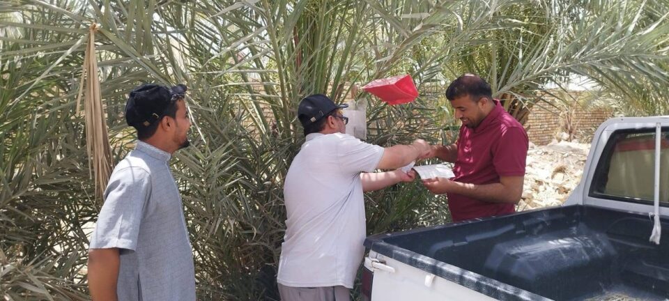 صورة من مقال: زراعة ذي قار تطلق حملة مجانية لمكافحة “الحميرة” في بساتين النخيل