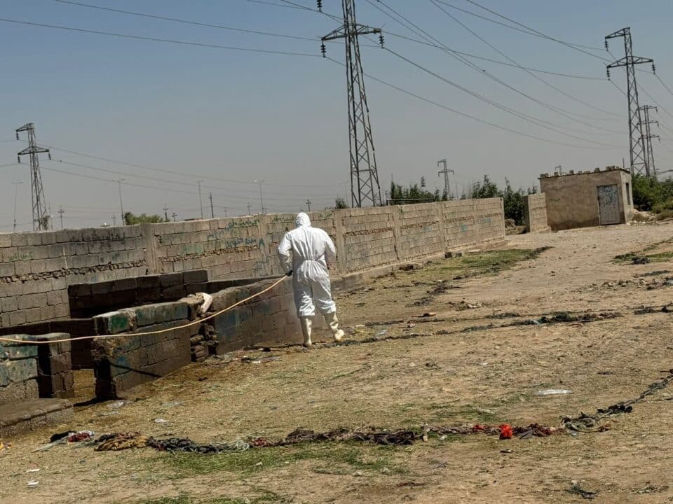 صورة من مقال: الحصيلة ترتفع.. 82 إصابة مؤكدة بالحمى النزفية في ذي قار حتى الآن