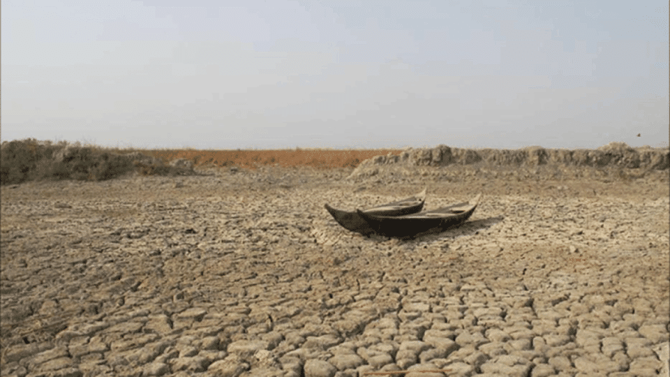 صورة من مقال: أزمة الجفاف في قضاء الإصلاح تتسبب بهجرة وخسائر واسعة في الثروة الحيوانية والسمكية