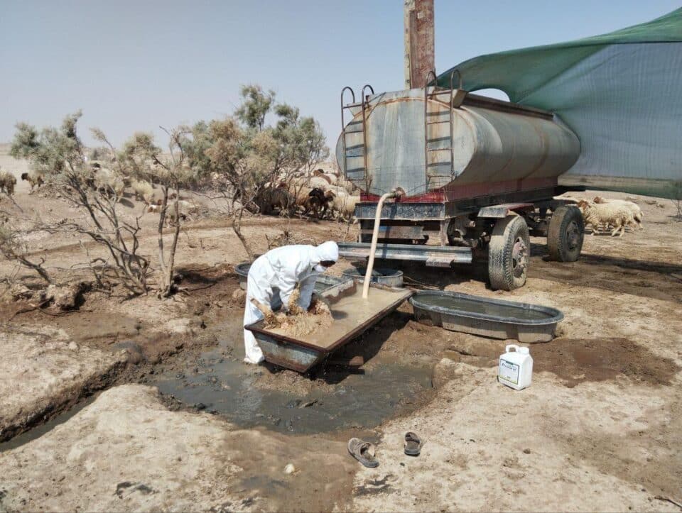 صورة من مقال: بيطرة ذي قار: انحسار إصابات الحمى النزفية والشطرة والغراف الأكثر تسجيلا