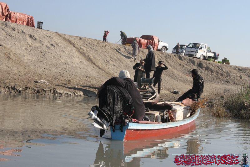 صورة من مقال: جمعية الصيادين: خسرنا تصدير 70 طن من الأسماك يوميا بسبب جفاف هور الحمار الغربي
