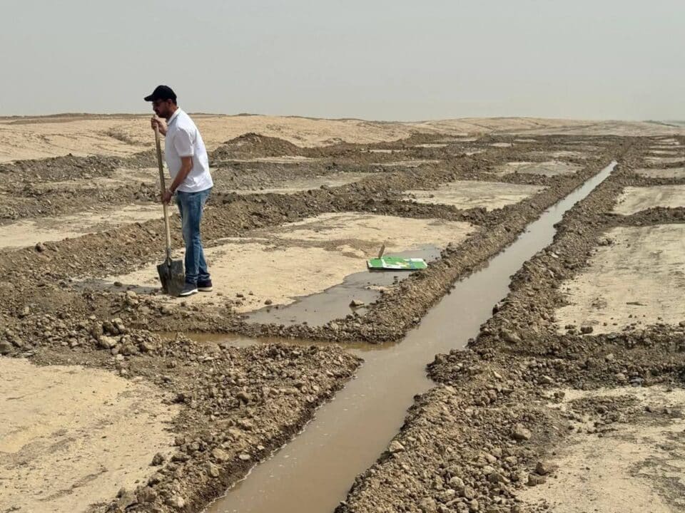 صورة من مقال: ذي قار تباشر بإنشاء مختبر للأشجار الصحراوية ضمن مشروع مكافحة التصحّر