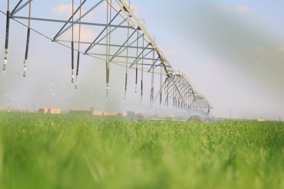 صورة من مقال: زراعة ذي قار: 49 منظومة للري المحوري في عموم المحافظة