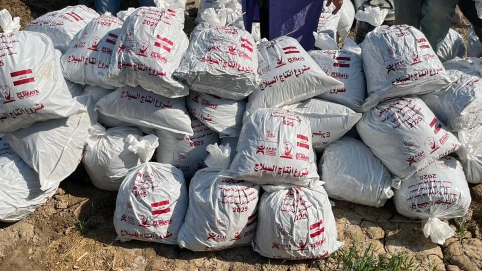 صورة من مقال: منظمة بيئية تعلن نجاح مشروع لإنتاج علف السيلاج من النباتات الطبيعية في اهوار الجبايش