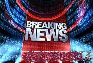 صورة من مقال: تلفزيون الناصرية: ذي قار تعلن تعطيل الدوام الرسمي غدًا الخميس احتفاءً بنجاح الانتخابات