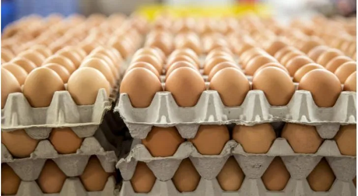 صورة من مقال: أسعار بيض المائدة تقفز إلى 7 آلاف دينار في أسواق الناصرية وسط مطالبات بتشديد الرقابة