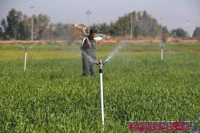 صورة من مقال: مسودة تلقائية