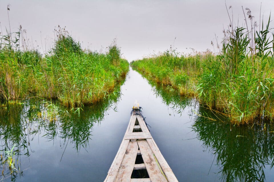 صورة من مقال: إذاعة الناصرية: منسوب الفرات في الجبايش يرتفع إلى 50 سم بعد الموجة المطرية