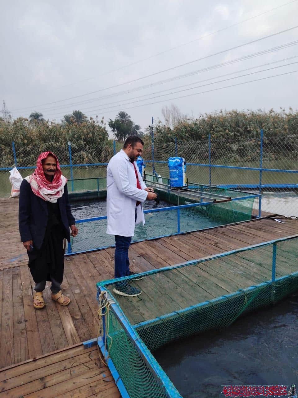 صورة من مقال: المستشفى البيطري في ذي قار يطمئن المواطنين: أحواض الأسماك خالية من فيروس “الهيربس”