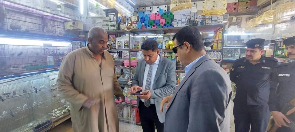 صورة من مقال: بيئة ذي قار: لا وجود للفلامنكو أو الطيور المهاجرة في الأسواق المحلية