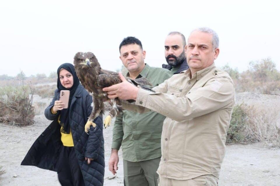صورة من مقال: بعد حملة رقابية في بغداد..إعادة الحيوانات المصادَرة إلى موائلها الطبيعية في ذي قار
