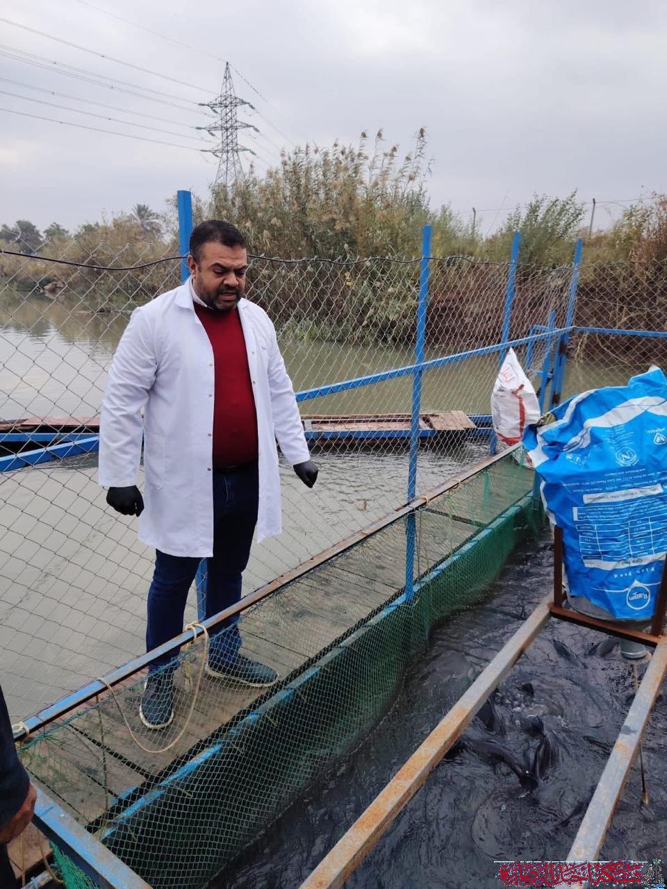 صورة من مقال: ذي قار: فحص شامل لأحواض الأسماك يؤكد خلوها من فيروس خطير