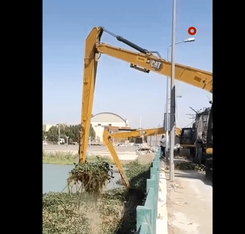 صورة من مقال: فيديو: زهرة النيل تهدد الموارد المائية في ذي قار وسط تحذيرات بيئية