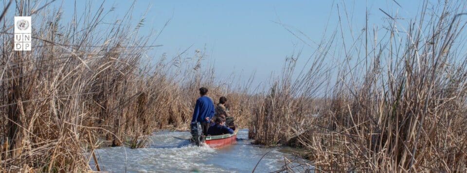 صورة من مقال: الأمم المتحدة: شحّ المياه في الأهوار يضاعف أعباء النساء ويغيّر نمط حياتهن اليومية