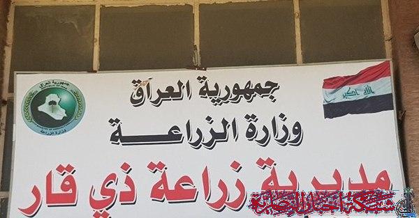 صورة من مقال: مدير زراعة ذي قار: استخدام منظومات الري الحديث قلل هدر المياه بنسبة 60%