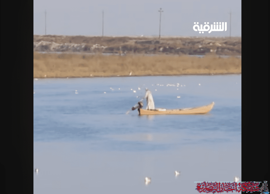 صورة من مقال: فيديو- خطر الانقراض يهدد البني والشبوط في أهوار ذي قار