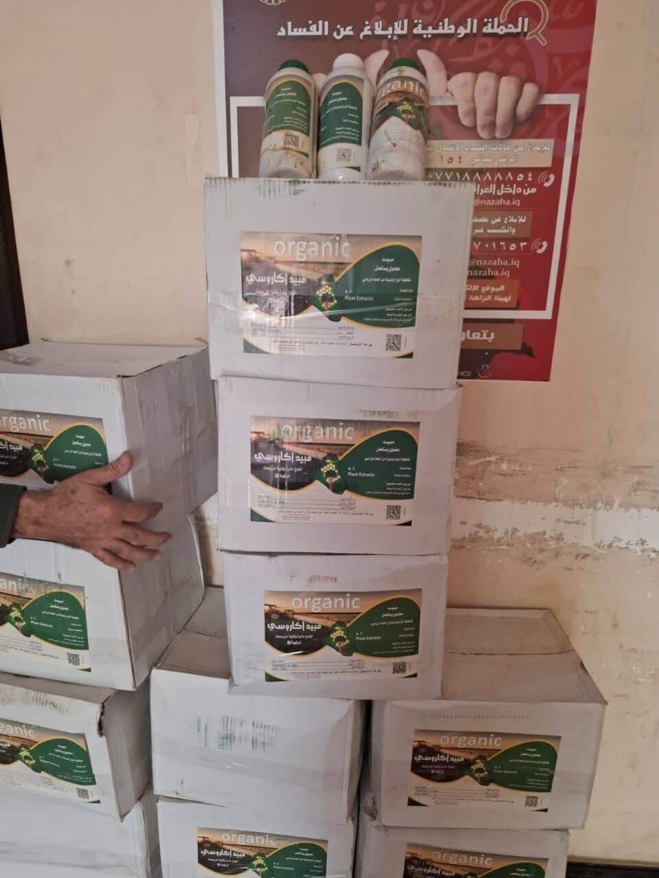 صورة من مقال: مديرية زراعة ذي قار تبدأ حملة مكافحة عنكبوت الغبار في بساتين النخيل