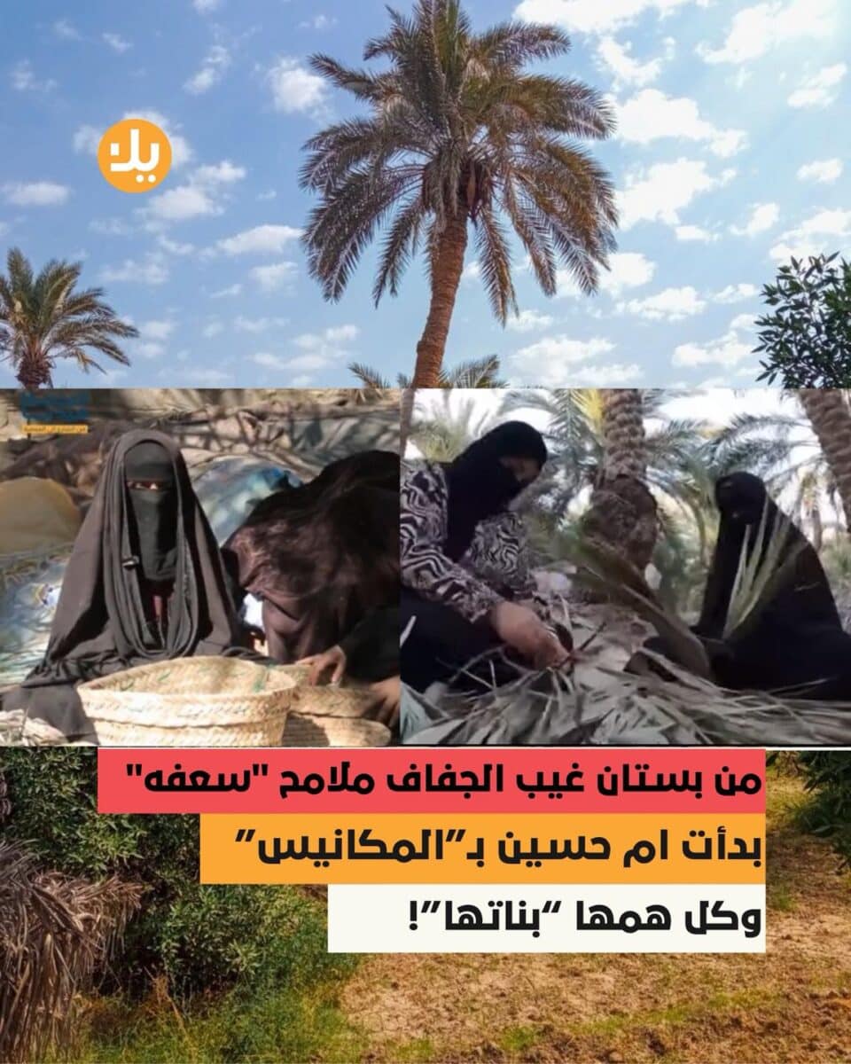 صورة من مقال: “أم حسين” تقاوم الجفاف بصناعة المكانس من سعف النخيل في الناصرية