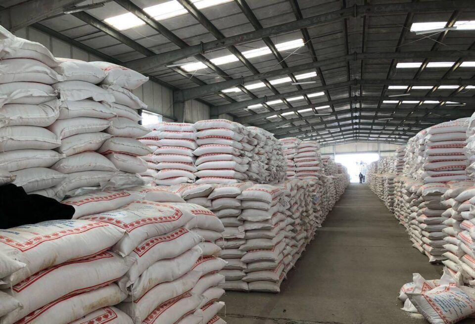 صورة من مقال: فرع تجارة الحبوب في ذي قار يباشر تجهيز الوجبة الثانية من الطحين لعام 2026