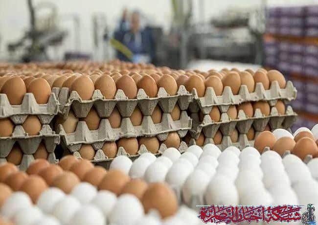 صورة من مقال: أسعار بيض المائدة ترتفع إلى 7 آلاف دينار في الناصرية ومواطنون يطالبون بتدخل الجهات الرقابية