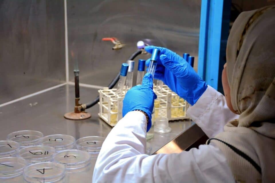 صورة من مقال: مديرية ماء ذي قار تعلن حالة الرقابة القصوى على مصادر المياه في حوض نهر الغراف