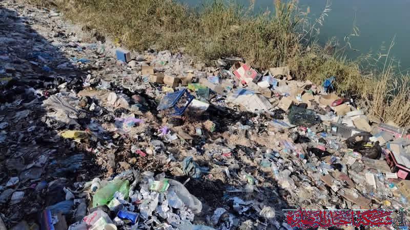 صورة من مقال: بيئة ذي قار ترصد تراكم النفايات على ضفاف الفرات في سوق الشيوخ وتحذر من مخاطر صحية