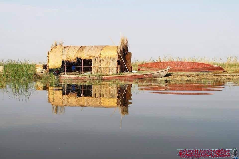 صورة من مقال: مدير مركز إنعاش الأهوار يعلن ارتفاع مناسيب المياه في ذي قار وعودة الزراعة الصيفية