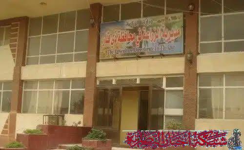 صورة من مقال: مدير زراعة ذي قار يعلن انطلاق حملة حصاد الحنطة والشعير وسط تأخير بسبب الشحة المائية