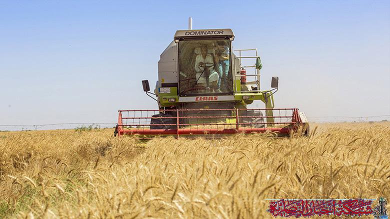 صورة من مقال: مدير زراعة ذي قار يكشف تفاصيل حملة حصاد الحنطة والشعير للموسم الحالي