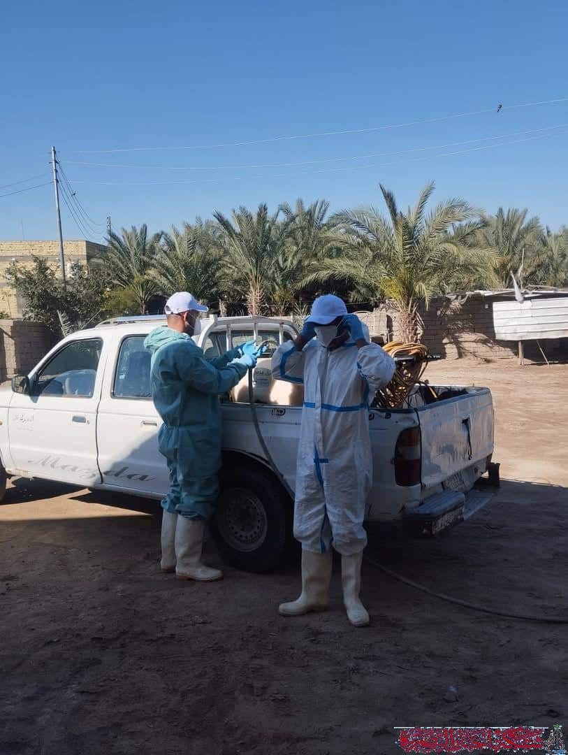 صورة من مقال: فرقة الرصد والتحري في الغراف تكشف سبب إصابة مواطنة بالحمى النزفية وتطلق حملة توعوية