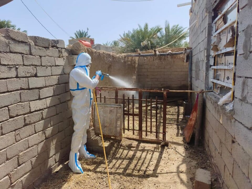 صورة من مقال: فرق صحية في الشطرة تحتوي بؤرة إصابة بالحمى النزفية وتنفذ حملة توعية للأهالي