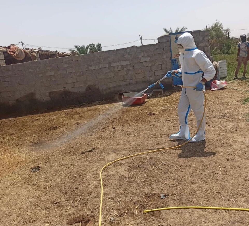 صورة من مقال: مستشفى البيطري في ذي قار يعلن احتواء بؤرتين للإصابة بمرض الحمى النزفية في قضاء الشطرة