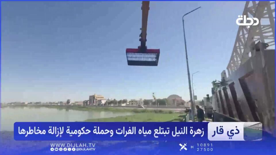 صورة من مقال: فيديو | ذي قار تطلق حملة ميدانية لإزالة زهرة النيل وتحسين انسيابية المياه في الأنهار