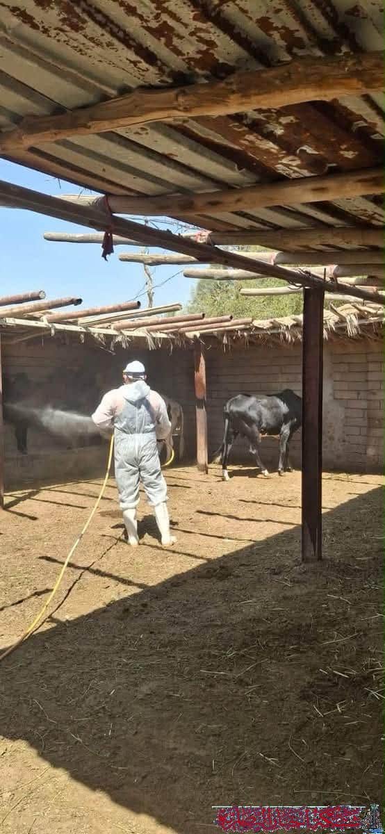 صورة من مقال: احتواء بؤرة الحمى النزفية في منطقة العساكرة جنوب الناصرية وعلاج عدد من الحالات المرضية