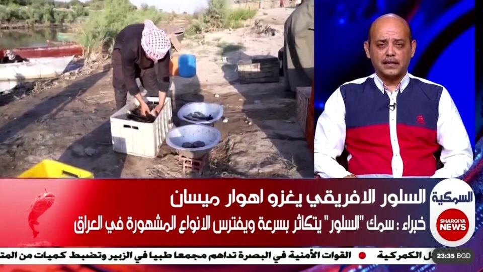 صورة عامة لموقع أخبار الناصرية