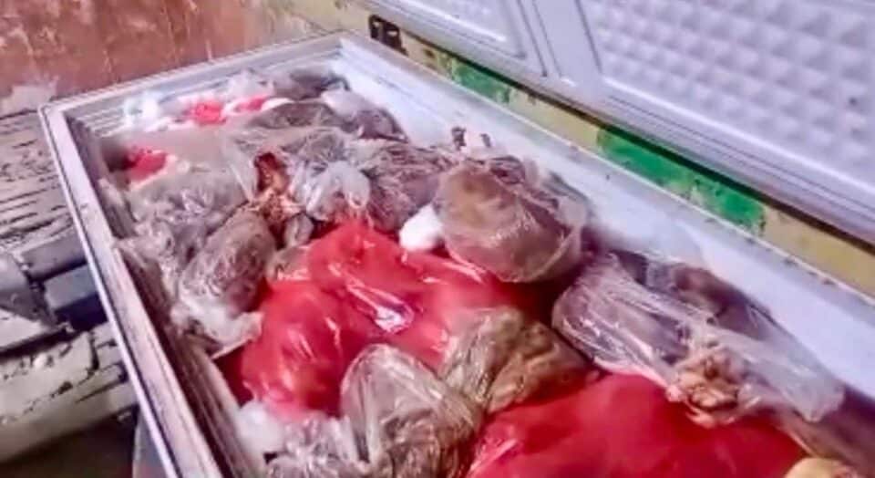صورة من مقال: الأمن الوطني والرقابة الصحية يتشاركان في ضبط مخزن لحوم فاسدة وسط الناصرية