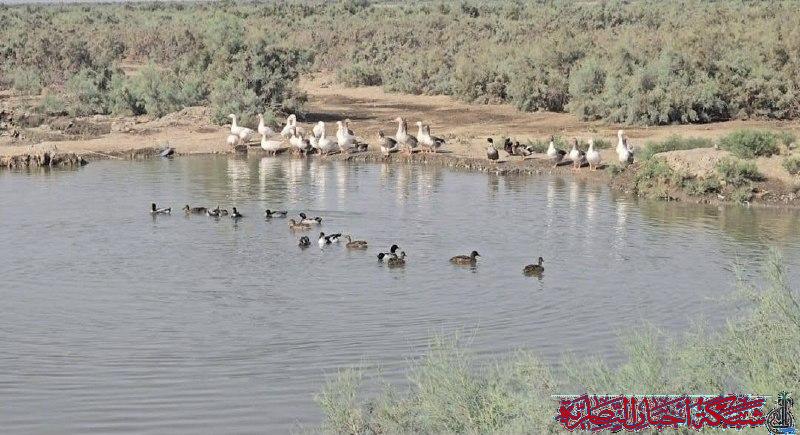 صورة عامة لموقع أخبار الناصرية